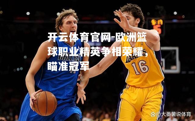 欧洲篮球职业精英争相荣耀，瞄准冠军